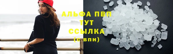 мяу мяу мука Аркадак
